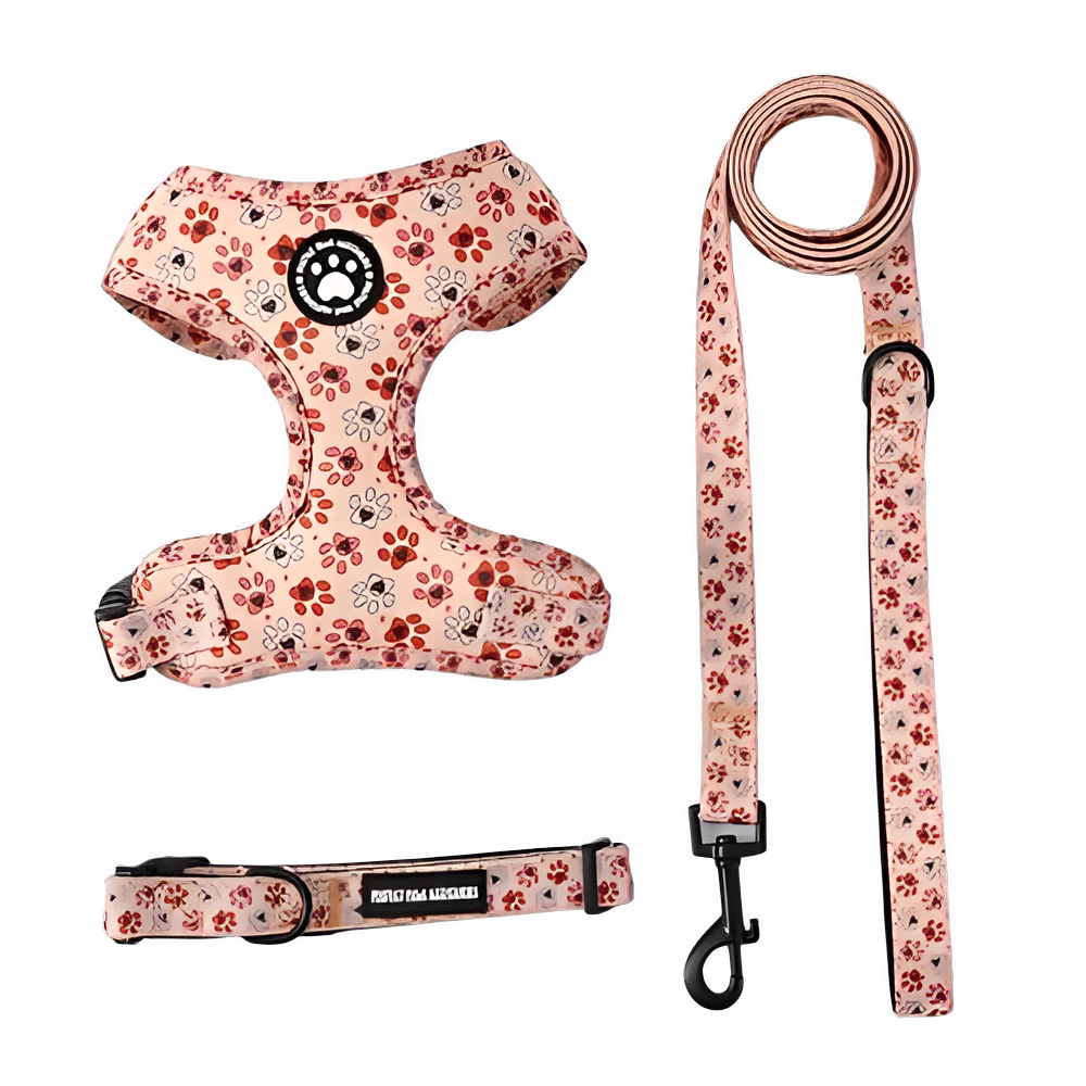 2e99153f-7921-43d8-a576-a392224a3700