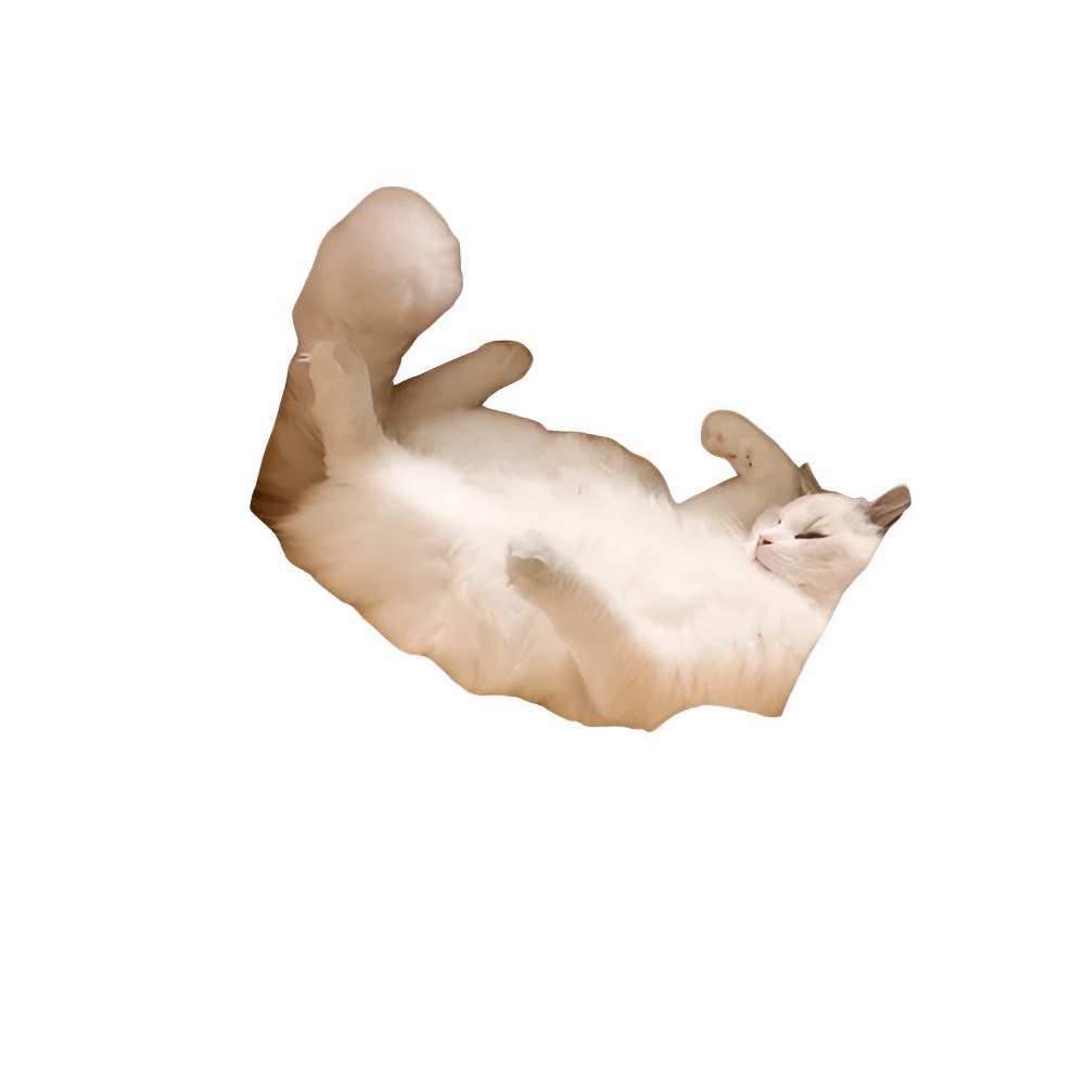 560fc882-42df-4617-8407-d556ac43372d