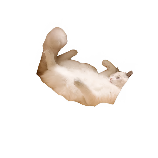 560fc882-42df-4617-8407-d556ac43372d