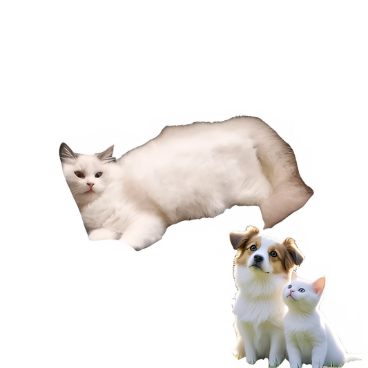 94457c10-4fb0-428d-b370-1c6944303d70