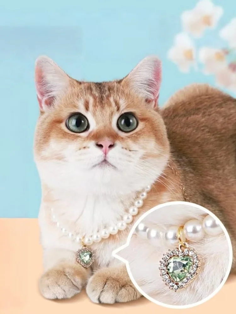 S3a6f66780d92487f995c5c349cde8f17u